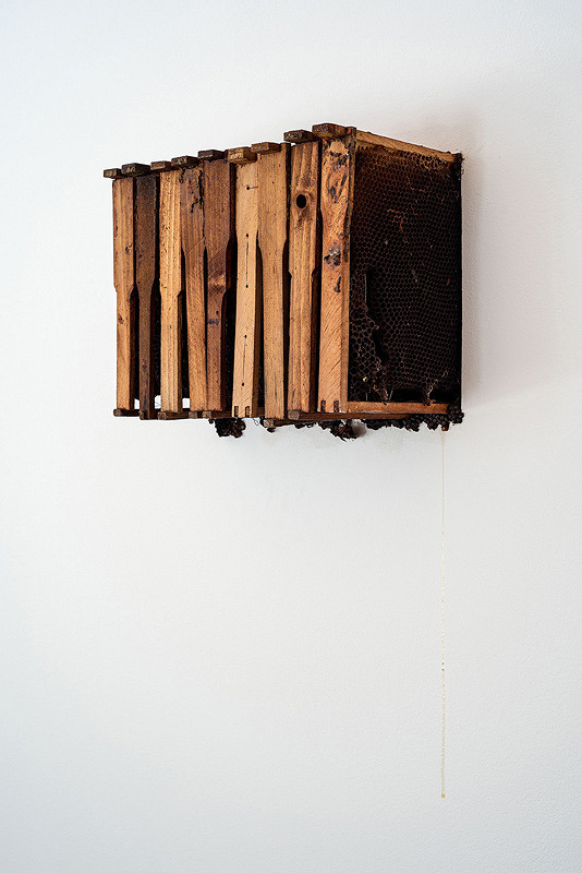 Jaroslav Kyša - Last Beehive 