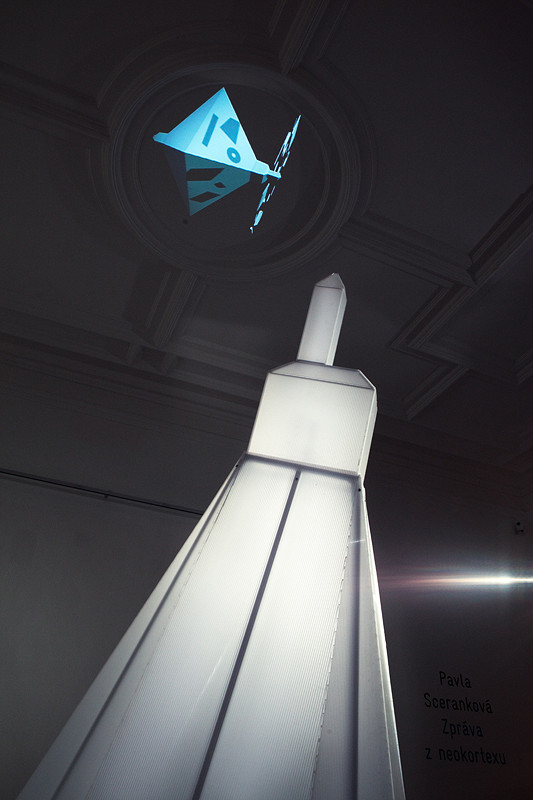 Pavla Sceranková - Správa z neokortexu 