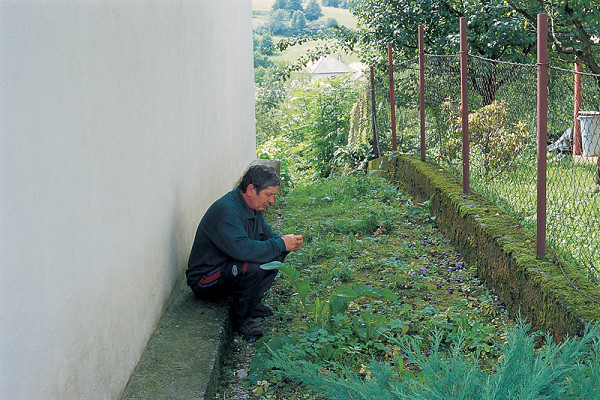 Roman Ondak - Antinomads (detail) 