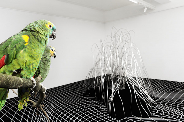 Anetta Mona Chisa & Lucia Tkacova - Attention! Here and now, boys! Here and now! (installation view GAK – Gesellschaft für Aktuelle Kunst) 