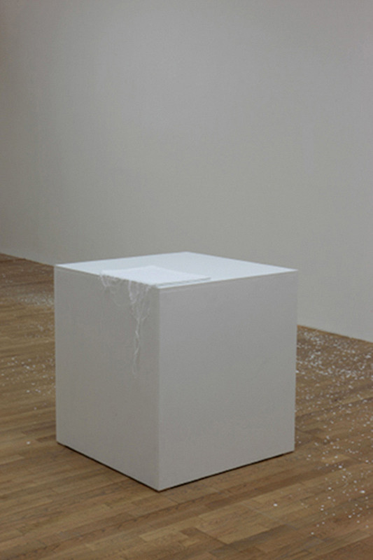 Denisa Lehocká - Denisa Lehocká 2012, Slovak National Gallery (solo exhibition) 