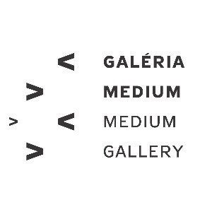 MEDIUM gallery