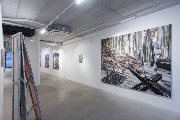 Trhliny: Samuel Paučo. Curator: Martina Švíková  