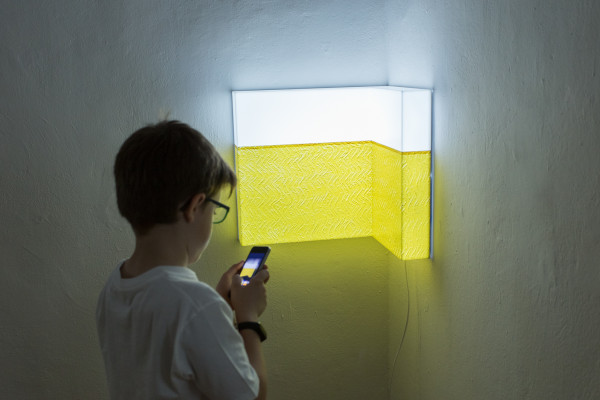 Marek Burcl: Viridiplantae, 2018, foto: Ján Sipöcz 