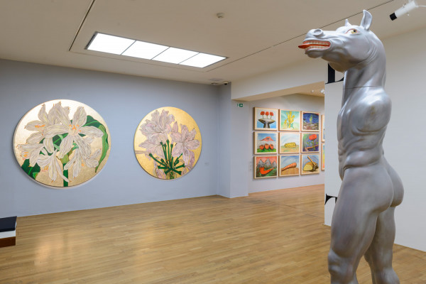 2_LACO TEREN_Foto_Martin Deko SNG 